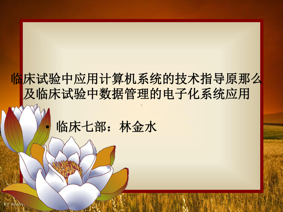 临床试验中应用计算机系统的技术指导原则及临床试验中数据管理的电子化系统应用教学课件.ppt_第1页