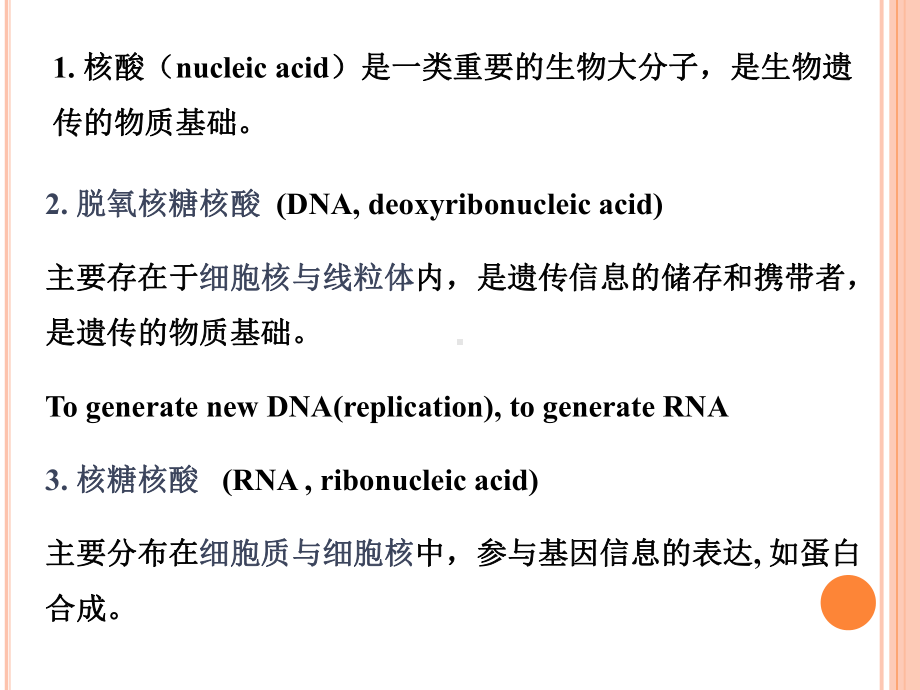 人体机能学教学课件第二章核酸.ppt_第2页