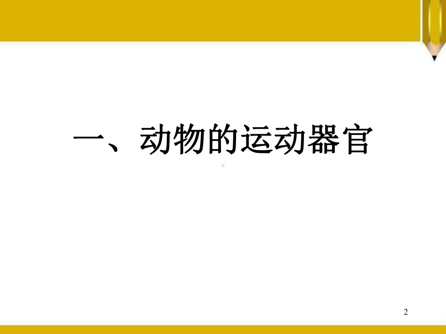 《动物的运动依赖一定的结构》(最新)教学课件.pptx_第2页