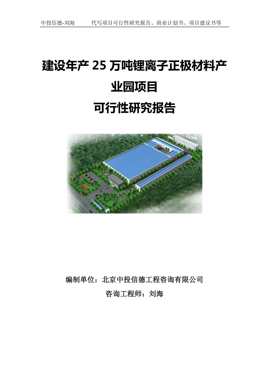 建设年产25万吨锂离子正极材料产业园项目可行性研究报告写作模板.doc_第1页