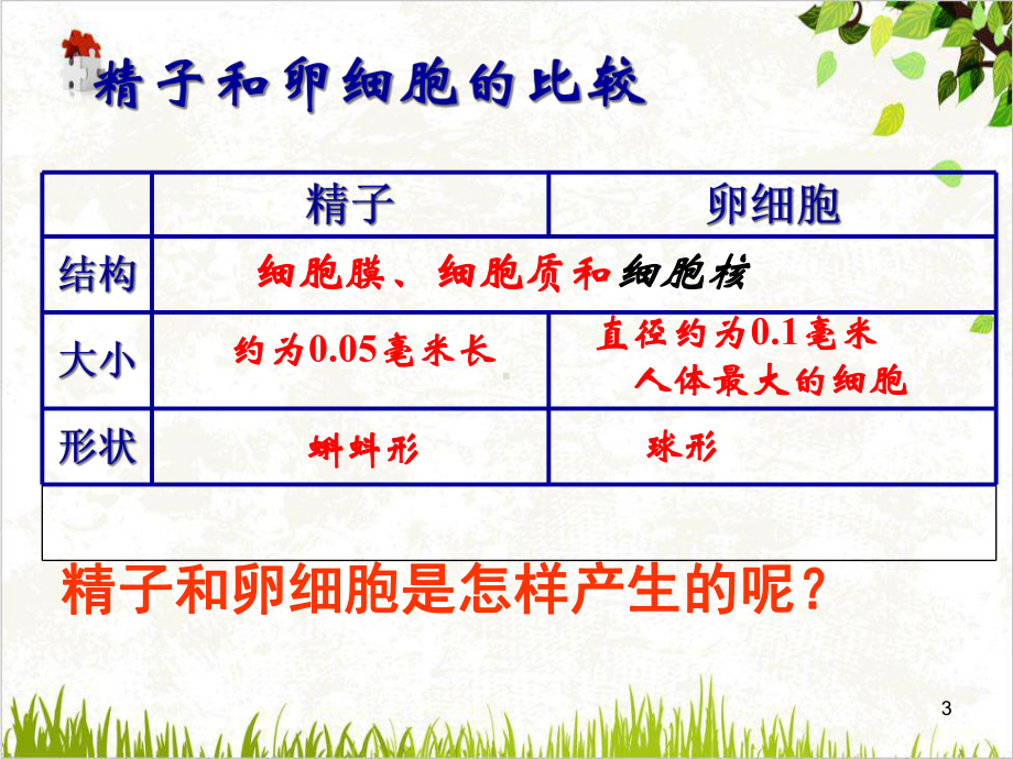 七年级下科学《新生命的诞生》实用教学课件浙教版2.ppt_第3页