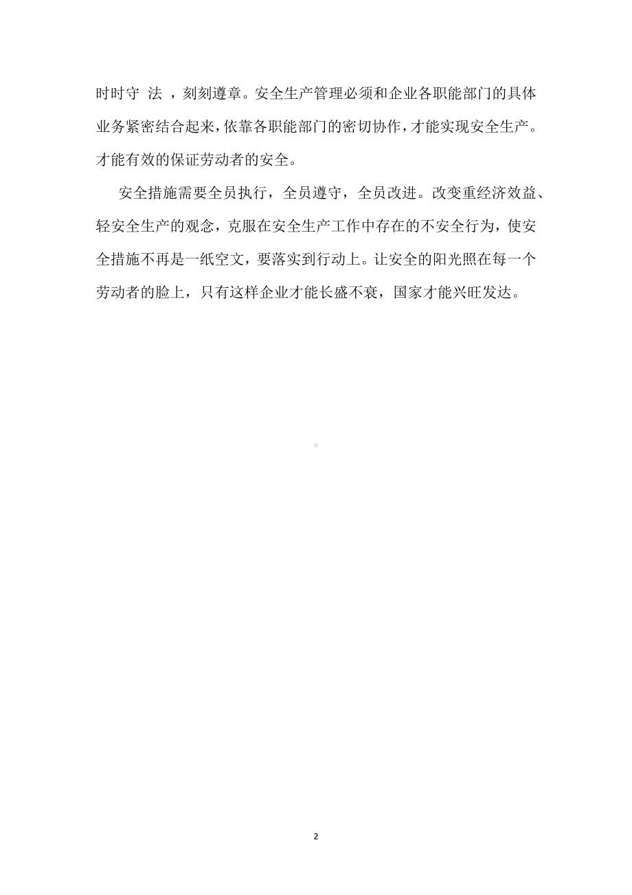 安全生产措施关键在于能否得到科学合理的制订和落实模板范本.docx_第2页