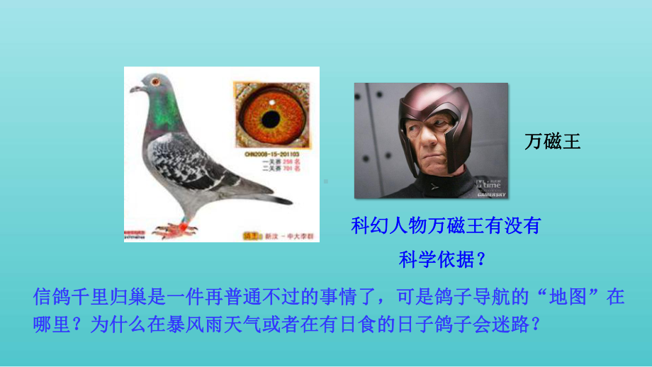 新教材人教《磁场磁感线》优质课件1.ppt_第3页