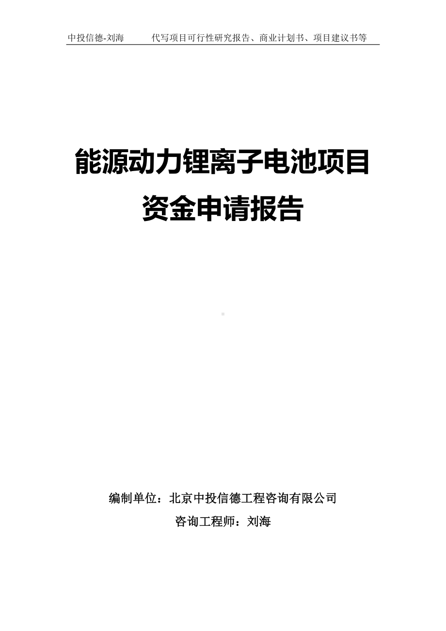 能源动力锂离子电池项目资金申请报告写作模板.doc_第1页