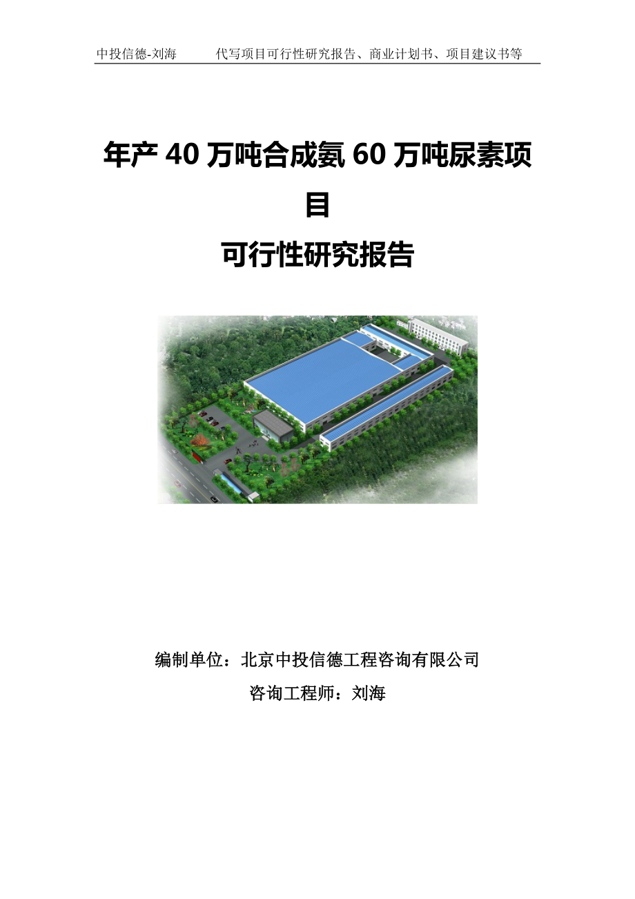 年产40万吨合成氨60万吨尿素项目可行性研究报告写作模板.doc_第1页