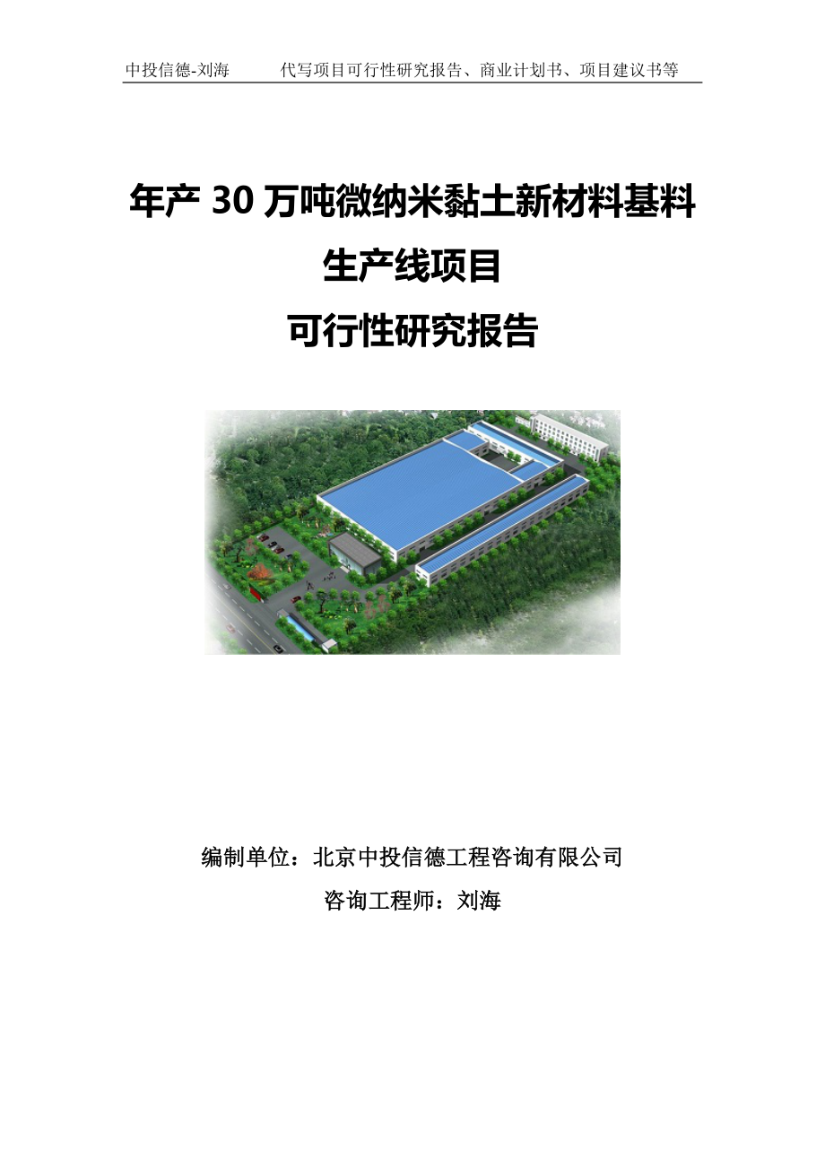 年产30万吨微纳米黏土新材料基料生产线项目可行性研究报告写作模板.doc_第1页