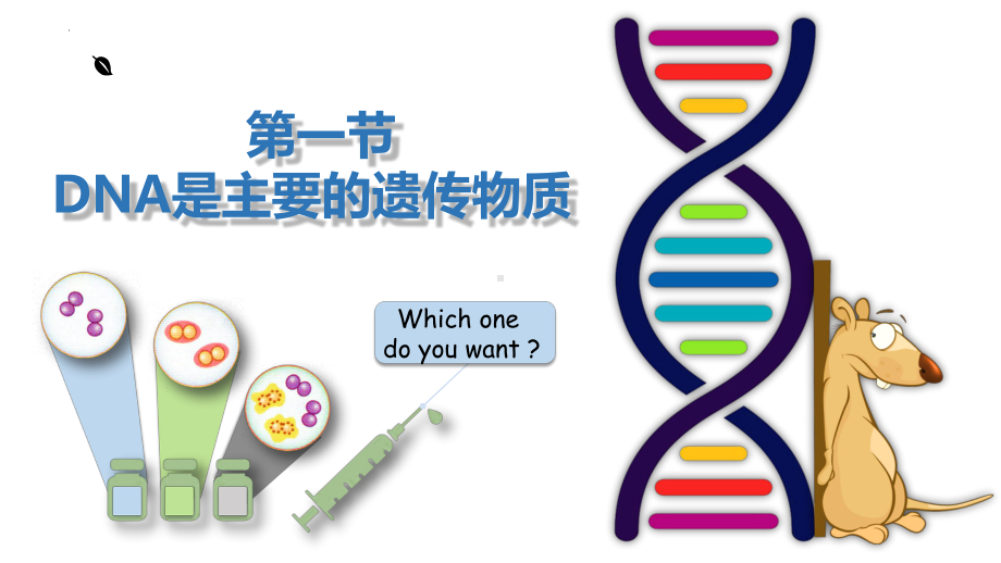 3.1DNA是主要的遗传物质 ppt课件（0002）(8)-2023新人教版（2019）《高中生物》必修第二册.pptx_第2页