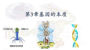 3.1DNA是主要的遗传物质 ppt课件（0002）(8)-2023新人教版（2019）《高中生物》必修第二册.pptx