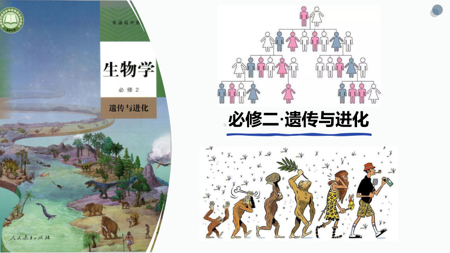 1.1 孟德尔的豌豆杂交实验（一） ppt课件 2-2023新人教版（2019）《高中生物》必修第二册.pptx_第1页