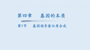 4.1基因指导蛋白质的合成 ppt课件(4)-2023新人教版（2019）《高中生物》必修第二册.pptx