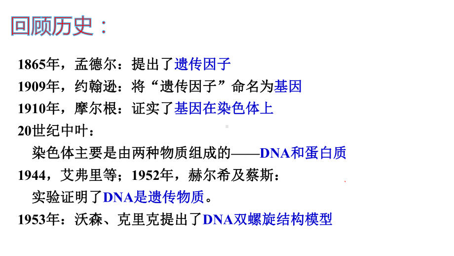 3.4基因通常是有遗传效应的DNA片段 ppt课件（0002）-2023新人教版（2019）《高中生物》必修第二册.pptx_第2页