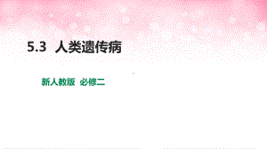 5.3人类遗传病 ppt课件-2023新人教版（2019）《高中生物》必修第二册.pptx