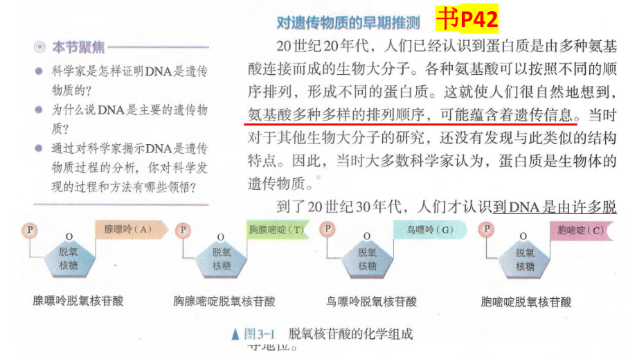 3.1DNA是主要的遗传物质 ppt课件(6)-2023新人教版（2019）《高中生物》必修第二册.pptx_第2页