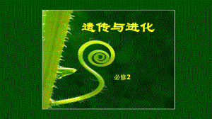 1.1孟德尔的豌豆杂交实验（一） ppt课件 -2023新人教版（2019）《高中生物》必修第二册.pptx