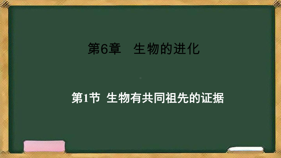 6.1生物有共同祖先的证据 ppt课件(8)-2023新人教版（2019）《高中生物》必修第二册.pptx_第1页