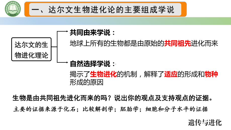 6.1生物有共同祖先的证据 ppt课件(8)-2023新人教版（2019）《高中生物》必修第二册.pptx_第3页