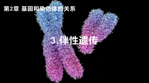 2.3伴性遗传 ppt课件(1)-2023新人教版（2019）《高中生物》必修第二册.pptx