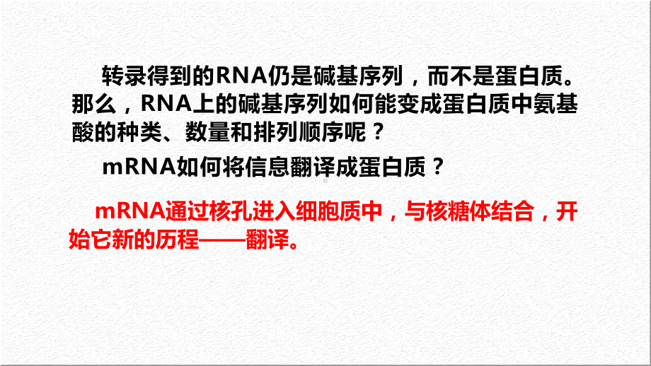 4.1基因指导蛋白质的合成(第2课时) ppt课件-2023新人教版（2019）《高中生物》必修第二册.pptx_第3页