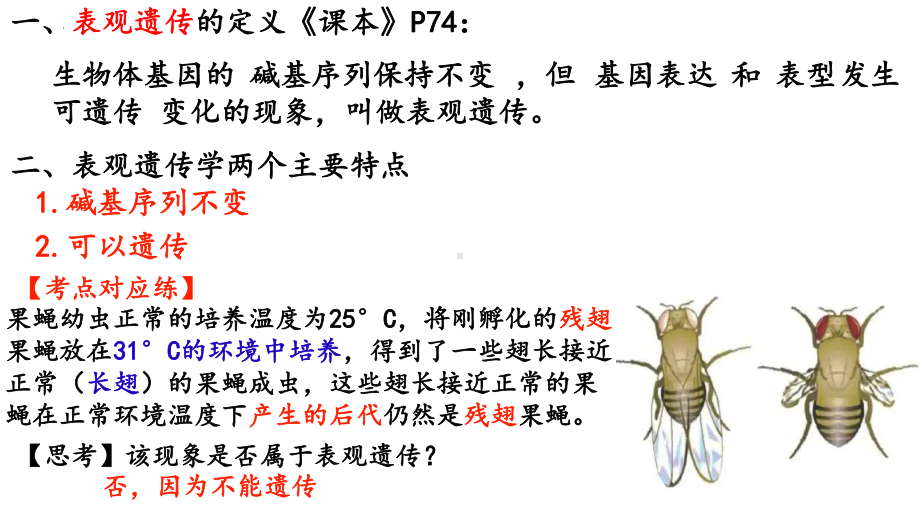 4.2《基因表达与性状的关系-表观遗传》教学 ppt课件-2023新人教版（2019）《高中生物》必修第二册.pptx_第3页