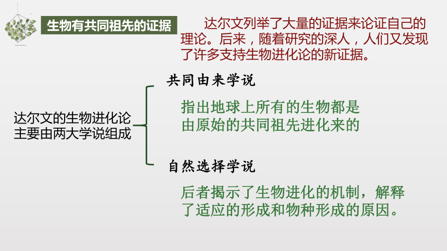 6.1生物有共同祖先的证据 ppt课件（0002）(2)-2023新人教版（2019）《高中生物》必修第二册.pptx_第3页