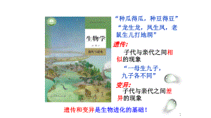 1.1孟德尔的豌豆杂交实验（一） ppt课件（0002）(3)-2023新人教版（2019）《高中生物》必修第二册.pptx