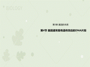 3.4基因通常是有遗传效应的DNA片段 ppt课件(1)-2023新人教版（2019）《高中生物》必修第二册.pptx