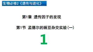 1.1孟德尔的豌豆杂交实验（一） ppt课件(6)-2023新人教版（2019）《高中生物》必修第二册.pptx