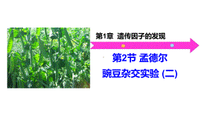 1.2孟德尔的豌豆杂交实验（二） ppt课件(10)-2023新人教版（2019）《高中生物》必修第二册.pptx