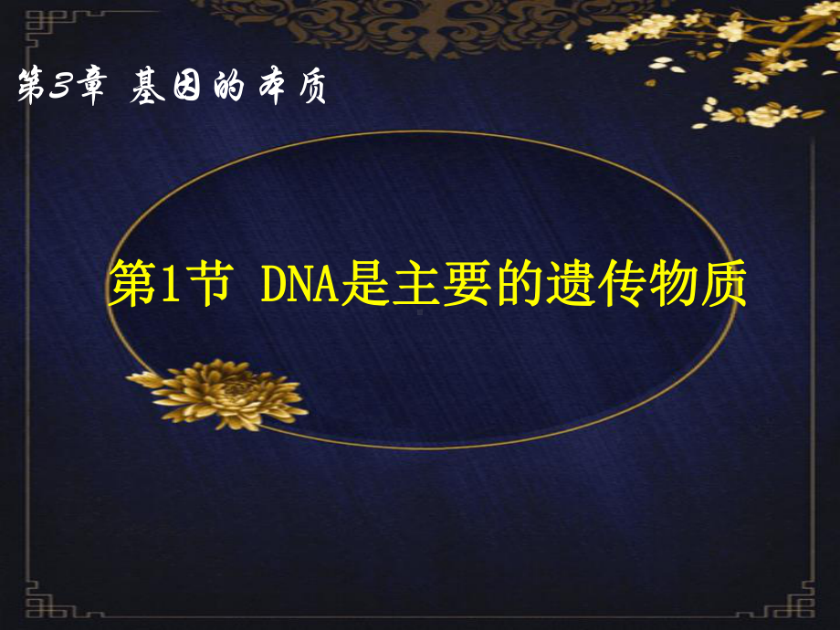 3.1DNA是主要的遗传物质 ppt课件(9)-2023新人教版（2019）《高中生物》必修第二册.pptx_第1页