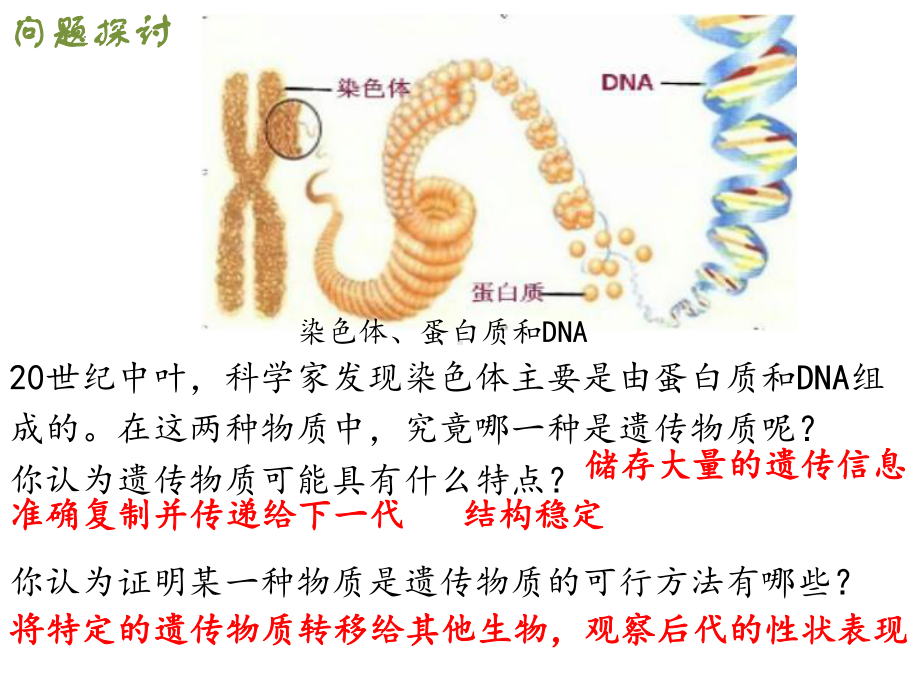 3.1DNA是主要的遗传物质 ppt课件(9)-2023新人教版（2019）《高中生物》必修第二册.pptx_第2页