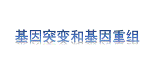 5.1基因突变和基因重组 ppt课件(8)-2023新人教版（2019）《高中生物》必修第二册.pptx