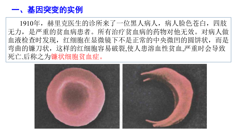 5.1基因突变和基因重组 ppt课件(8)-2023新人教版（2019）《高中生物》必修第二册.pptx_第2页