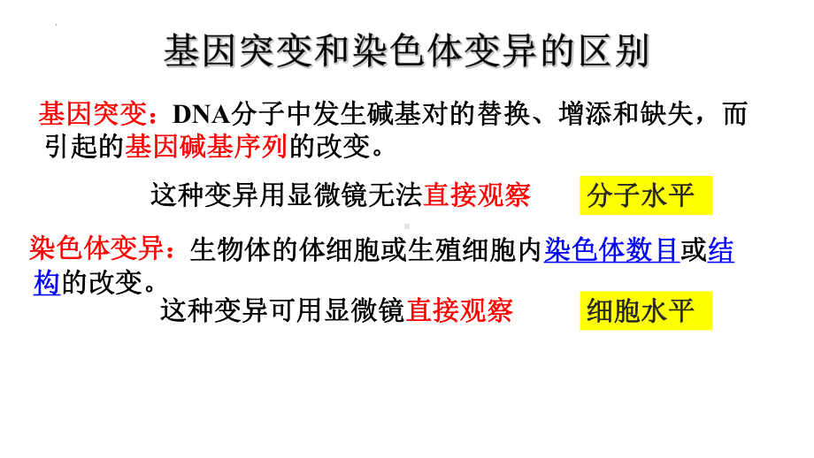 5.2染色体变异 ppt课件（0002）(1)-2023新人教版（2019）《高中生物》必修第二册.pptx_第3页