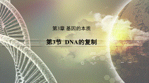 3.3 DNA的复制 ppt课件(5)-2023新人教版（2019）《高中生物》必修第二册.pptx