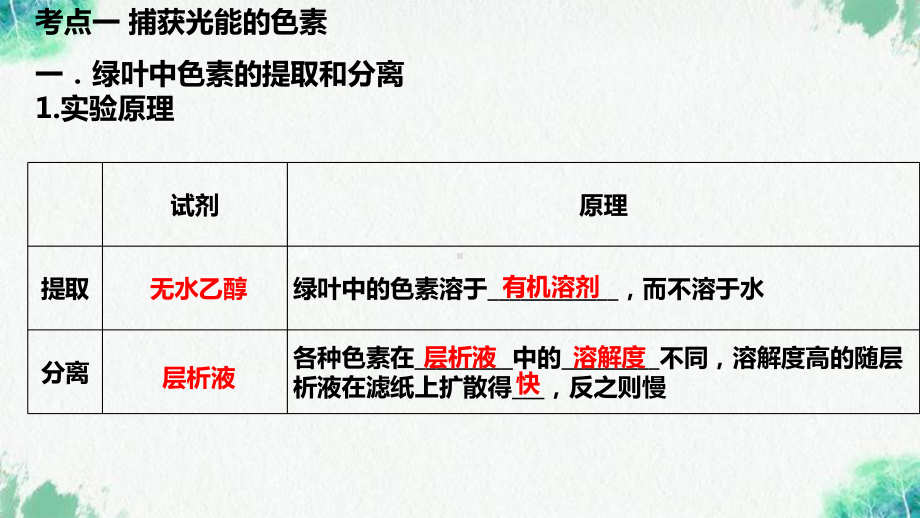 生物一轮复习 ppt课件：光合作用的探究历程与基本过程-2023新人教版（2019）《高中生物》必修第二册.pptx_第2页