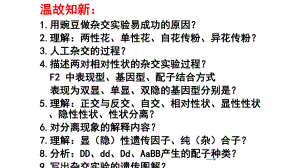 1.2孟德尔的豌豆杂交实验（二） ppt课件（0002）(2)-2023新人教版（2019）《高中生物》必修第二册.pptx