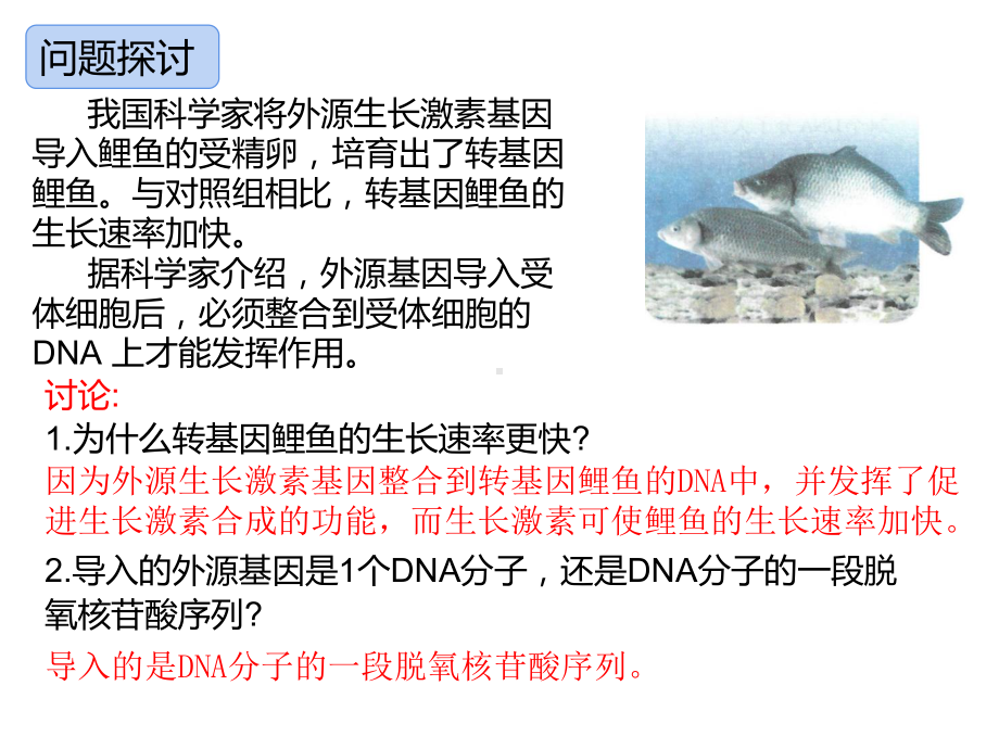 3.4基因通常是有遗传效应的DNA片段 ppt课件(7)-2023新人教版（2019）《高中生物》必修第二册.pptx_第2页