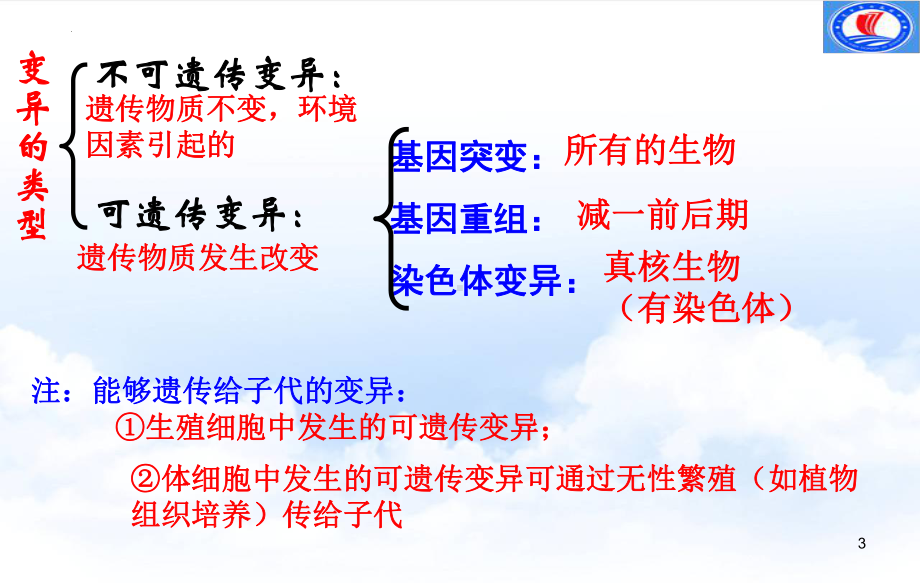 遗传与进化第五章复习 ppt课件-2023新人教版（2019）《高中生物》必修第二册.pptx_第3页