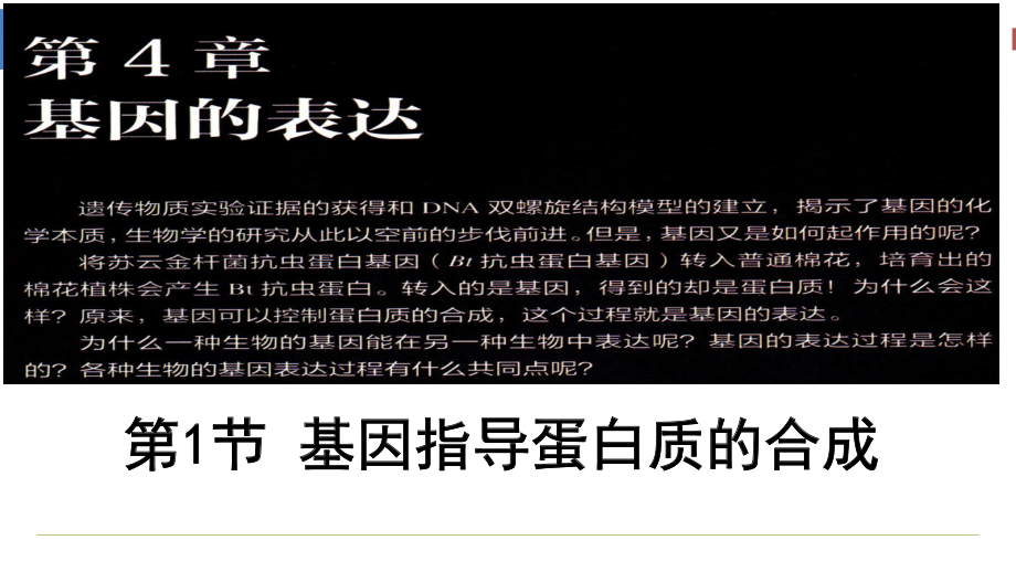 4.1基因指导蛋白质的合成 ppt课件 -2023新人教版（2019）《高中生物》必修第二册.pptx_第2页