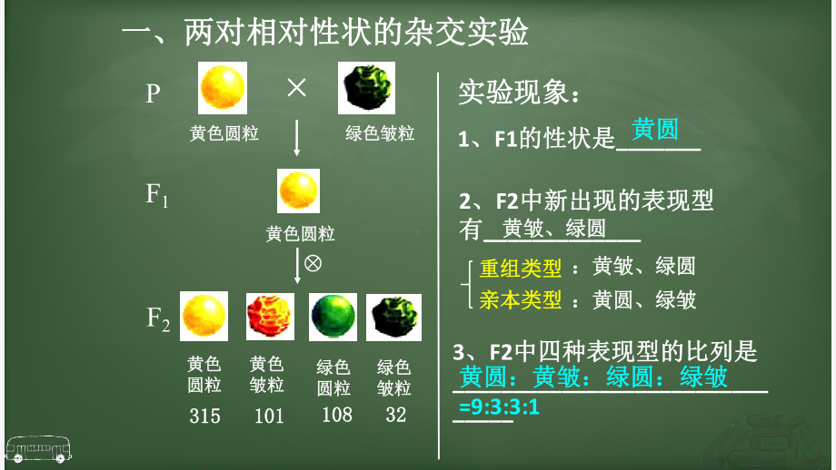 1.2孟德尔的豌豆杂交实验（二） ppt课件（0002）(1)-2023新人教版（2019）《高中生物》必修第二册.pptx_第2页