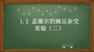 1.2孟德尔的豌豆杂交实验（二） ppt课件（0002）(1)-2023新人教版（2019）《高中生物》必修第二册.pptx