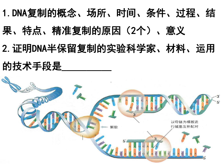 4.1基因指导蛋白质的合成 ppt课件-2023新人教版（2019）《高中生物》必修第二册.pptx_第1页