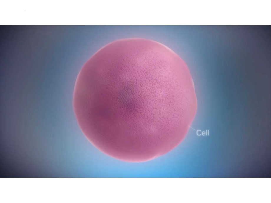 4.1基因指导蛋白质的合成 ppt课件-2023新人教版（2019）《高中生物》必修第二册.pptx_第3页