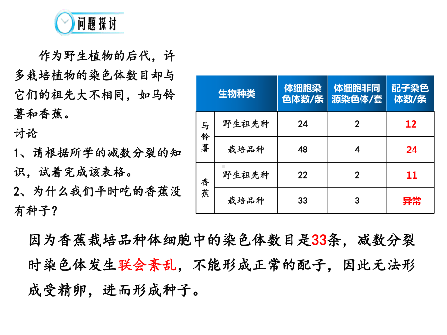 5.2染色体变异 ppt课件（0002）(2)-2023新人教版（2019）《高中生物》必修第二册.pptx_第3页