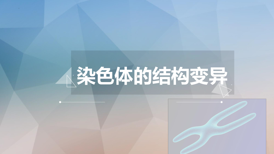 5.2染色体变异 ppt课件(3)-2023新人教版（2019）《高中生物》必修第二册.pptx_第1页