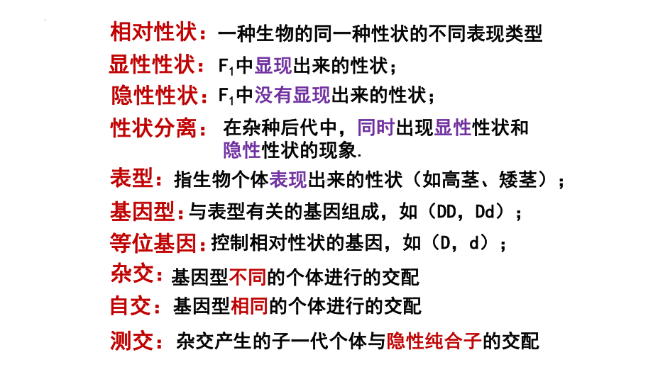 遗传因子的发现复习 ppt课件-2023新人教版（2019）《高中生物》必修第二册.pptx_第3页