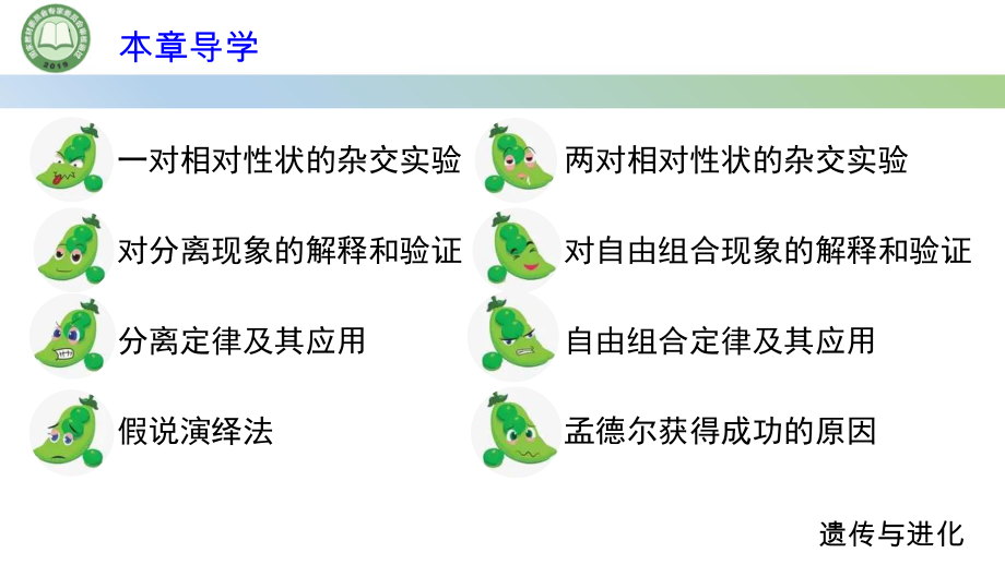 1.1孟德尔的豌豆杂交实验（一） 第1课时 ppt课件-2023新人教版（2019）《高中生物》必修第二册.pptx_第2页