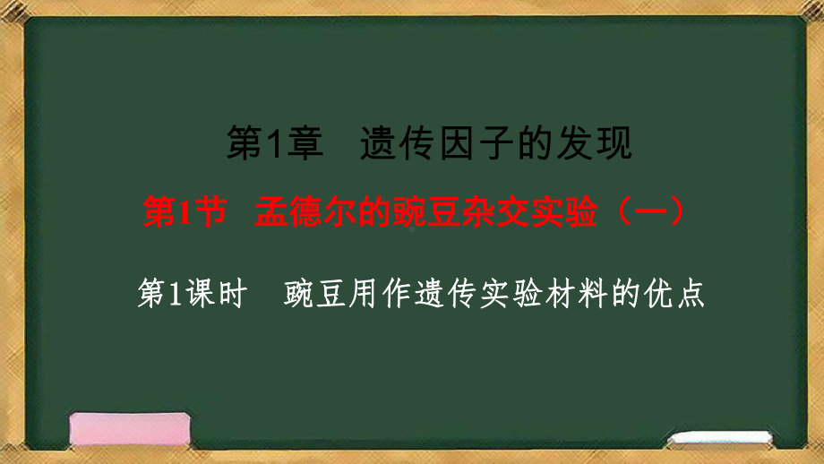 1.1孟德尔的豌豆杂交实验（一） 第1课时 ppt课件-2023新人教版（2019）《高中生物》必修第二册.pptx_第3页