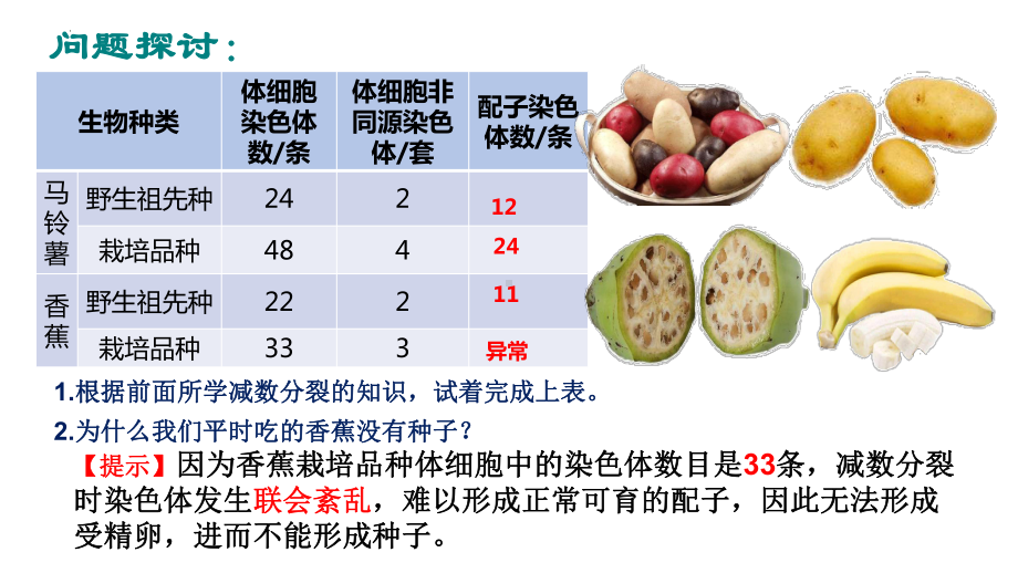 5.2染色体变异 ppt课件(4)-2023新人教版（2019）《高中生物》必修第二册.pptx_第2页