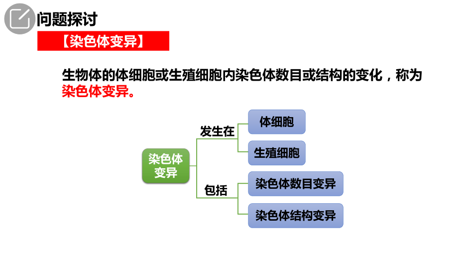 5.2染色体变异 ppt课件(4)-2023新人教版（2019）《高中生物》必修第二册.pptx_第3页